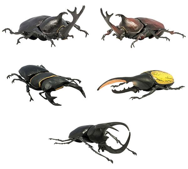 昆虫画像