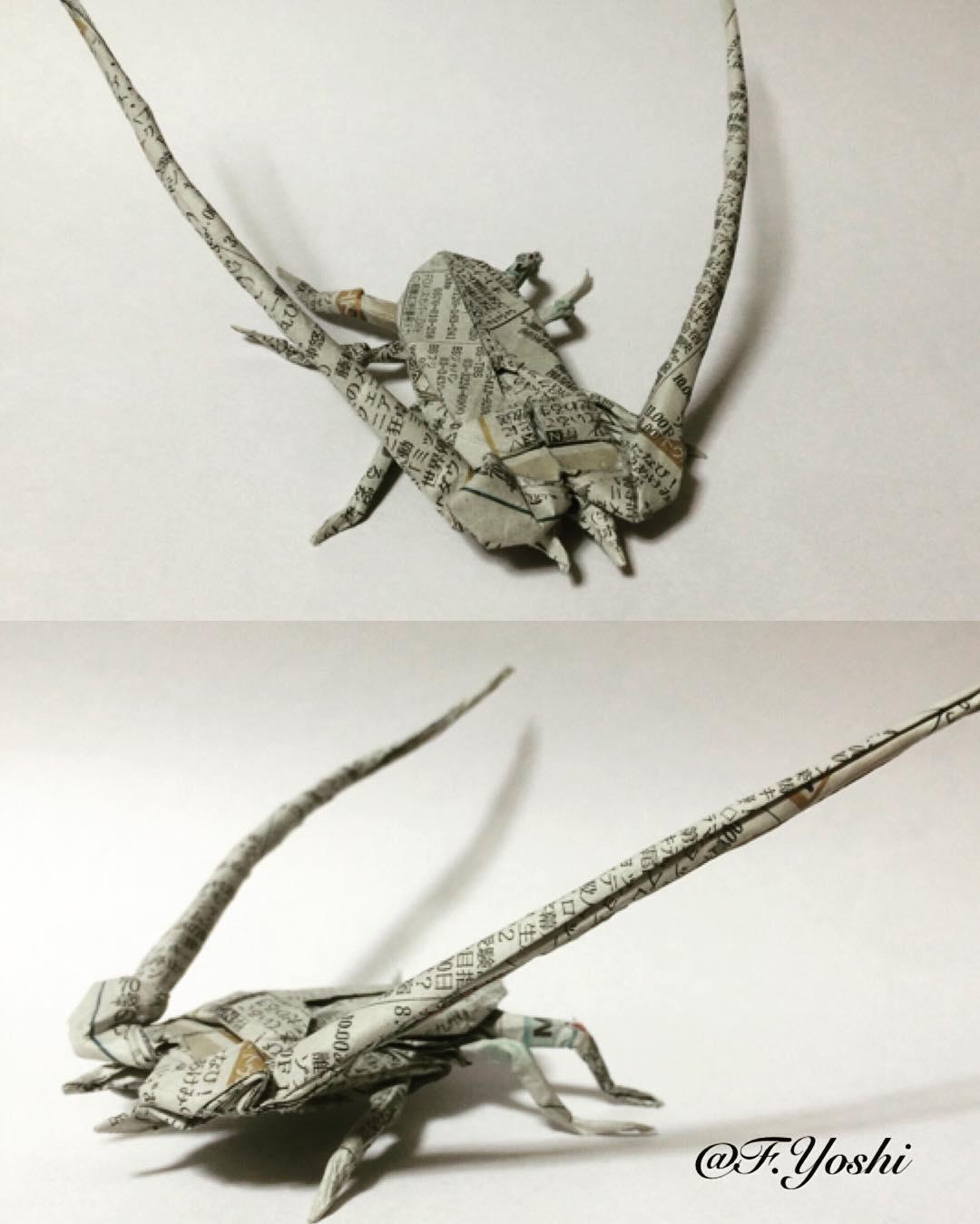 昆虫画像